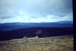 2012-01-16_5