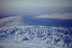2012-02-19_3