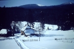 2012-01-21_28