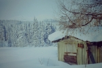 2012-02-12_30