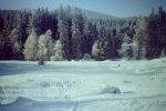 2012-02-12_66