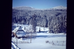2012-02-19_8